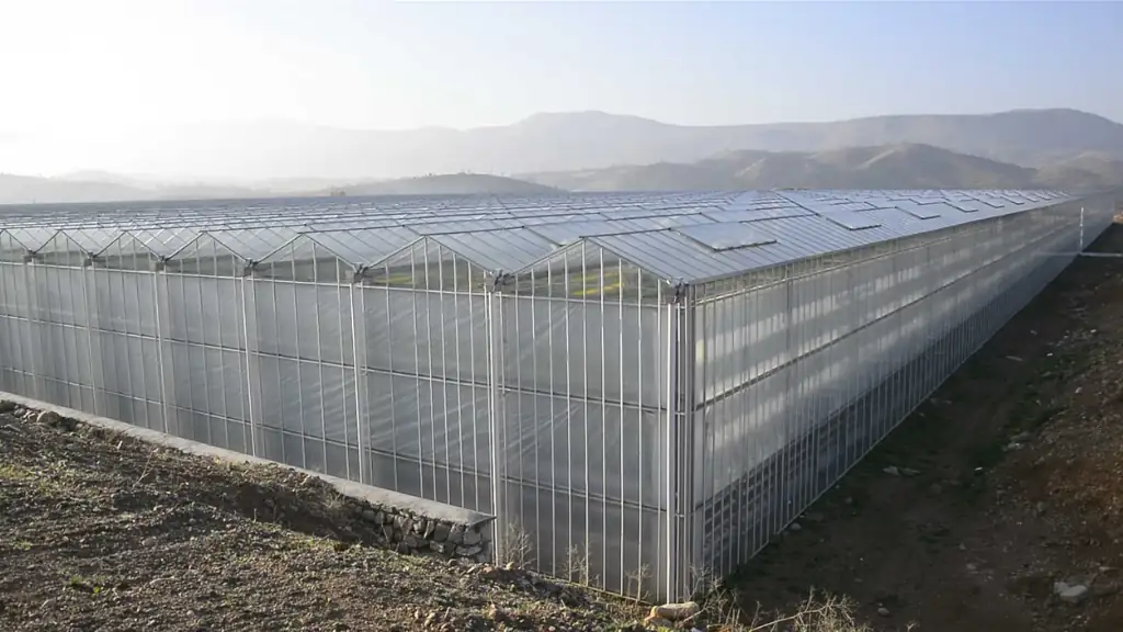گلخانه هیدروپونیک