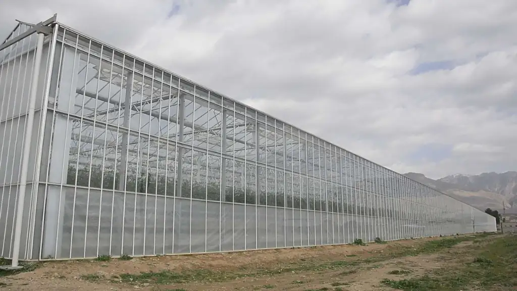 گلخانه هیدروپونیک